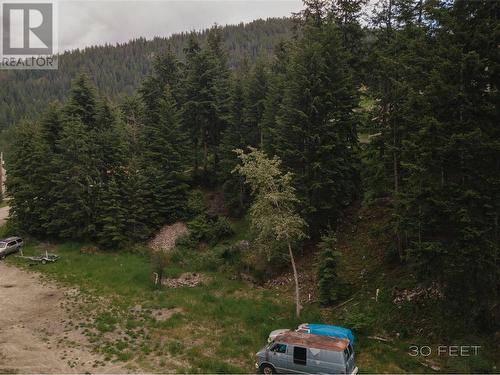 1102 Bealby Street, Nelson, BC 