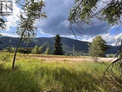 1102 Bealby Street  Nelson, BC V1L 3B4