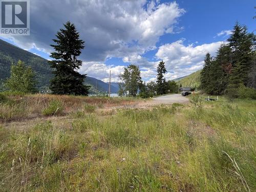 1102 Bealby Street, Nelson, BC 