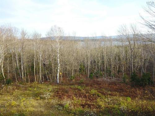 Bay St Lawrence Road, Aspy Bay, NS 