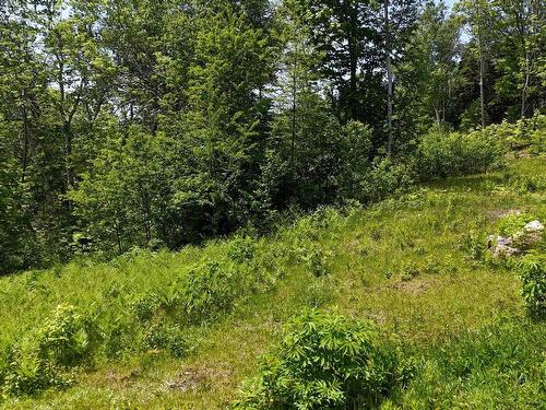 Bay St Lawrence Road, Aspy Bay, NS 