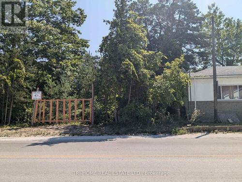 163 Mosley Street, Wasaga Beach, ON 