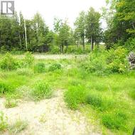 56 Lighthouse Point  Thessalon, ON P0R 1L0