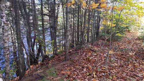 Boisé - 4E Rang, Sainte-Julienne, QC 