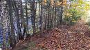 Wooded area - 4E Rang, Sainte-Julienne, QC 