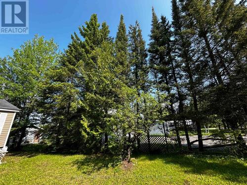 side yard from street - 59 Remi Lake Road N, Moonbeam, ON - Outdoor