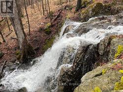 00 NORTH SHORE ROAD  Rideau Lakes, ON K0G 1X0