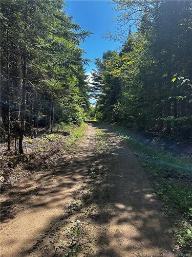 - Rte 10, Kierstead Mountain, NB 