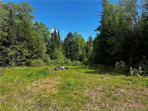 - Rte 10, Kierstead Mountain, NB 