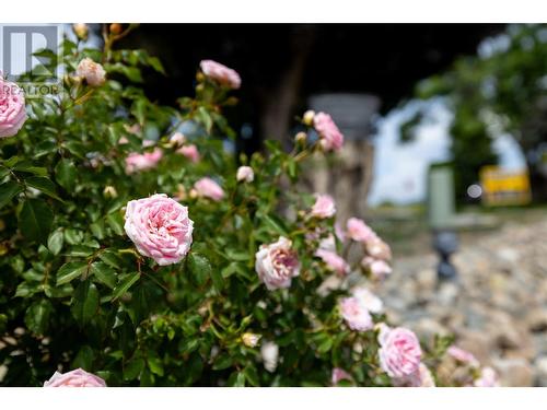 3102 13 Street, Vernon, BC - Outdoor