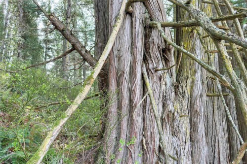 0 Humpback Bay, Sayward, BC 