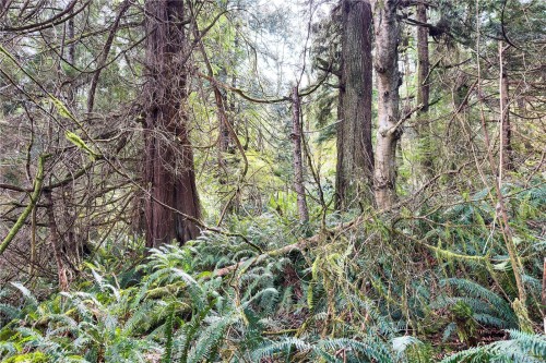 0 Humpback Bay, Sayward, BC 