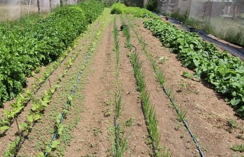 1075 Spider Lake Rd, Qualicum Beach, BC 