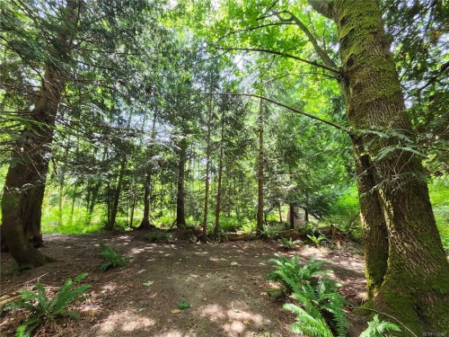 1075 Spider Lake Rd, Qualicum Beach, BC 