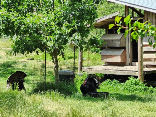 1075 Spider Lake Rd, Qualicum Beach, BC 