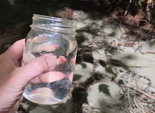 1075 Spider Lake Rd, Qualicum Beach, BC 