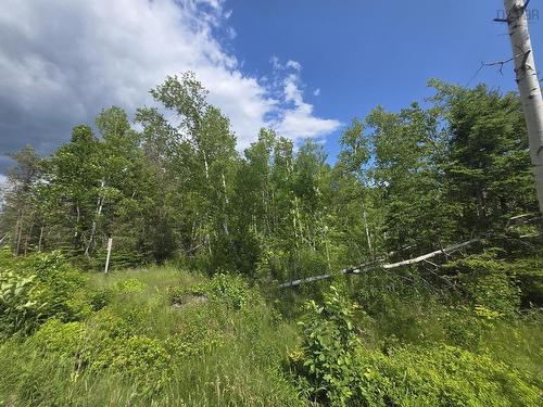 24-3Ab College Grant Road, College Grant, NS 