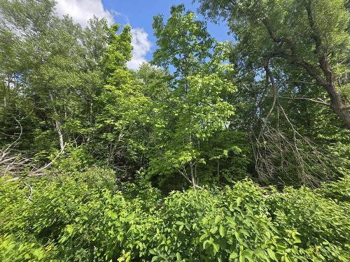 24-2 College Grant Road, College Grant, NS 