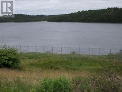 Lot 1 Junction Pond Unit#LOT 1  Whitbourne, NL A0B 3K0