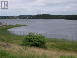 Lot 2 Junction Pond Unit#LOT 2  Whitbourne, NL A0B 3K0