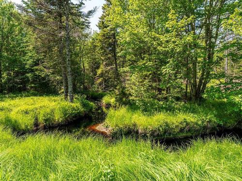 1194 Maxwellton Road, Meteghan Station, NS 