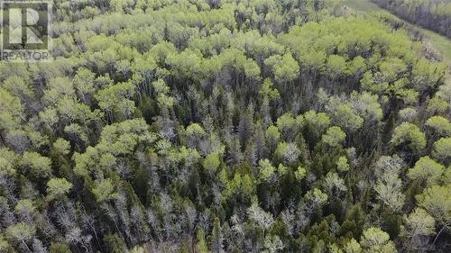 0 Cardwell St, Manitowaning, ON 