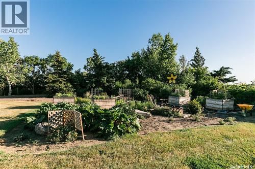 Scholer Acreage, Luseland, SK - Outdoor