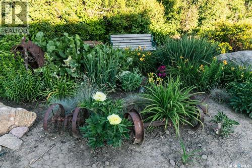 Scholer Acreage, Luseland, SK - Outdoor