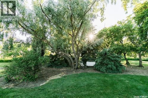 Scholer Acreage, Luseland, SK - Outdoor