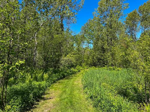 Terre/Terrain - 184 9E Rang, Lefebvre, QC 