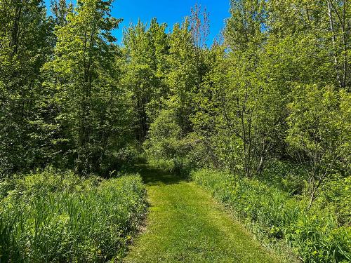 Terre/Terrain - 184 9E Rang, Lefebvre, QC 
