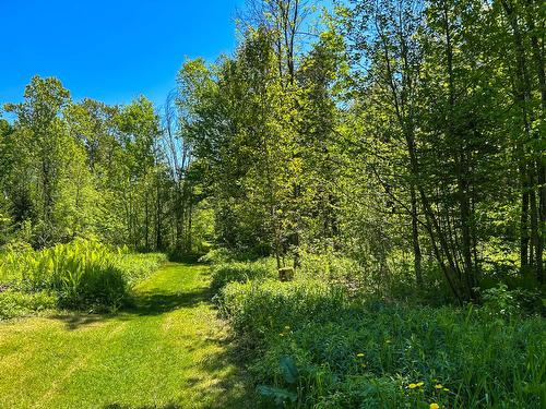 Terre/Terrain - 184 9E Rang, Lefebvre, QC 