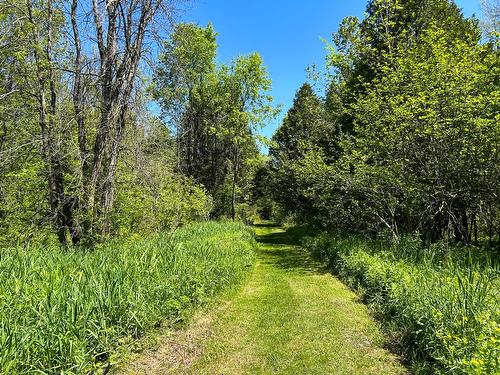 Terre/Terrain - 184 9E Rang, Lefebvre, QC 