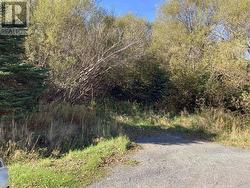 22-28 Parson's Road  Harbour Grace, NL A0A 2N0