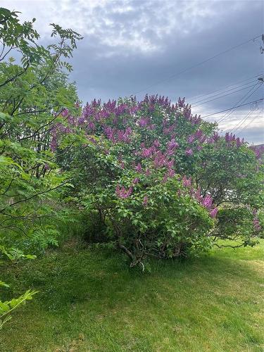 124 Main (Port Union South) Street, Trinity Bay North, NL 