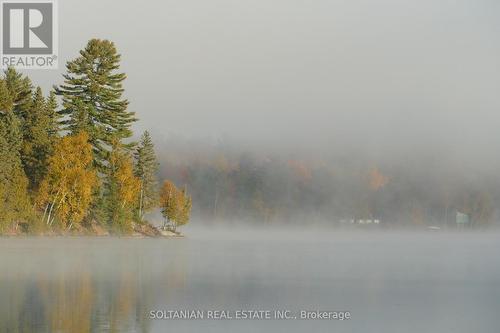 29 Paradise Road, Kawartha Lakes, ON -  With Body Of Water