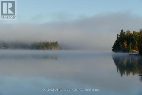 29 Paradise Road, Kawartha Lakes, ON -  With View