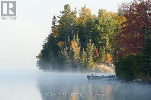 29 Paradise Road, Kawartha Lakes, ON - Outdoor With Body Of Water With View