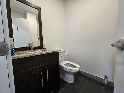 Powder room - 3591Z  - 3595Z Boul. De La Grande-Allée, Boisbriand, QC - Indoor Photo Showing Bathroom