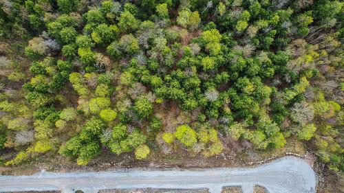 Overall view - 45 Ch. De La Fresque, Val-Des-Monts, QC 