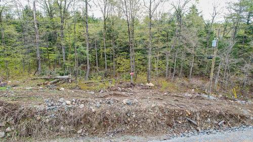 Overall view - 45 Ch. De La Fresque, Val-Des-Monts, QC 