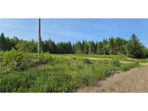 1207Sm Rue Pascal, Canton Des Basques, NB 