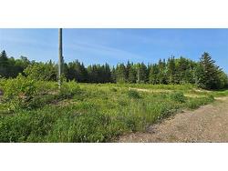 1207sm Rue Pascal  Canton Des Basques, NB E1X 1B5