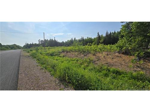 1207Sm Rue Pascal, Canton Des Basques, NB 