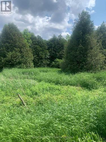 Con7Lt2 Bolton Road, Merrickville-Wolford, ON - Outdoor