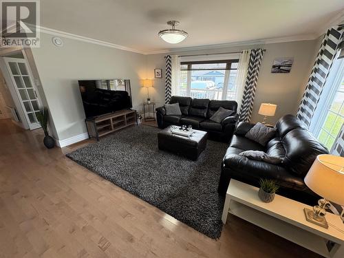 11 Butler Street, Bishop'S Falls, NL - Indoor Photo Showing Living Room