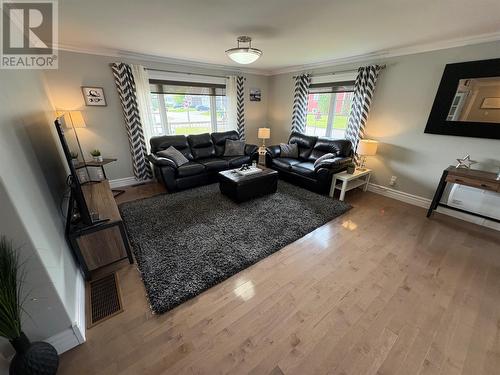 11 Butler Street, Bishop'S Falls, NL - Indoor Photo Showing Living Room