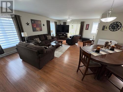 11 Butler Street, Bishop'S Falls, NL - Indoor Photo Showing Living Room
