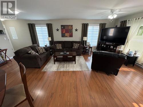 11 Butler Street, Bishop'S Falls, NL - Indoor Photo Showing Living Room