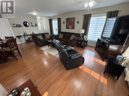 11 Butler Street, Bishop'S Falls, NL - Indoor Photo Showing Living Room